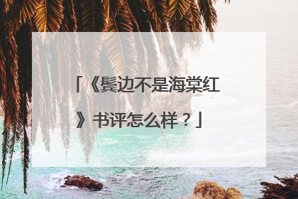 《鬓边不是海棠红》书评怎么样?