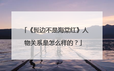 《鬓边不是海棠红》人物关系是怎么样的？