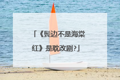《鬓边不是海棠红》是耽改剧?