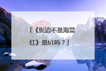 《鬓边不是海棠红》是bl吗？