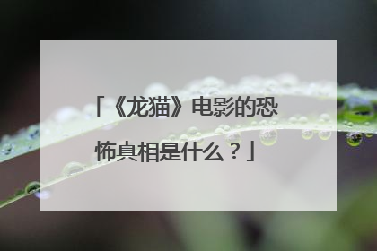 《龙猫》电影的恐怖真相是什么?
