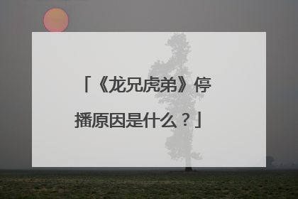 《龙兄虎弟》停播原因是什么？