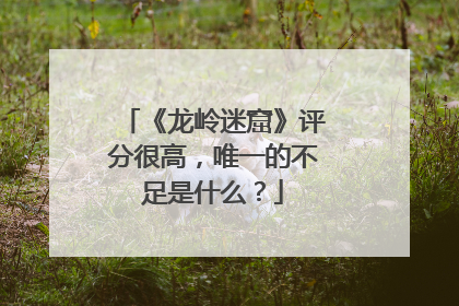 《龙岭迷窟》评分很高,唯一的不足是什么?
