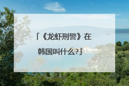《龙虾刑警》在韩国叫什么?