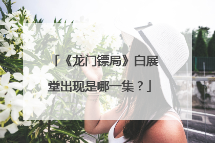 《龙门镖局》白展堂出现是哪一集?