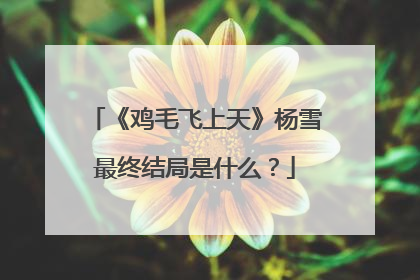 《鸡毛飞上天》杨雪最终结局是什么?