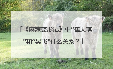 《麻辣变形记》中“崔天琪”和“吴飞”什么关系？