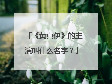 《黄真伊》的主演叫什么名字？