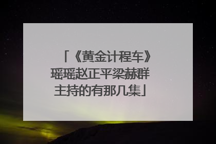 《黄金计程车》瑶瑶赵正平梁赫群主持的有那几集