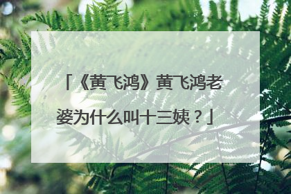 《黄飞鸿》黄飞鸿老婆为什么叫十三姨?