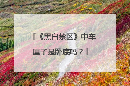 《黑白禁区》中车厘子是卧底吗？