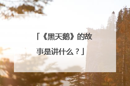 《黑天鹅》的故事是讲什么?