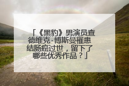 《黑豹》男演员查德维克·博斯曼罹患结肠癌过世，留下了哪些优秀作品？