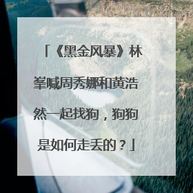 《黑金风暴》林峯喊周秀娜和黄浩然一起找狗,狗狗是如何走丢的?