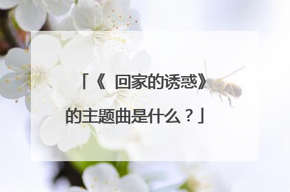 《 回家的诱惑》的主题曲是什么？