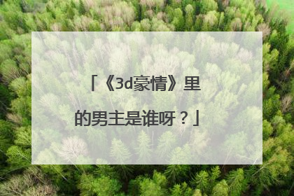 《3d豪情》里的男主是谁呀？