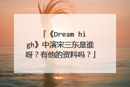 《Dream high》中演宋三东是谁呀?有他的资料吗?