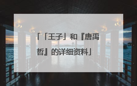 「王子」和『唐禹哲』的详细资料