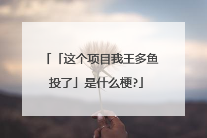 「这个项目我王多鱼投了」是什么梗?