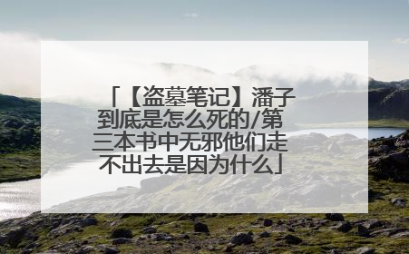 【盗墓笔记】潘子到底是怎么死的/第三本书中无邪他们走不出去是因为什么