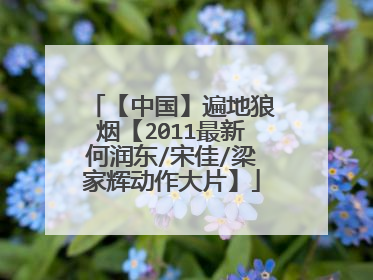 【中国】遍地狼烟【2011最新何润东/宋佳/梁家辉动作大片】