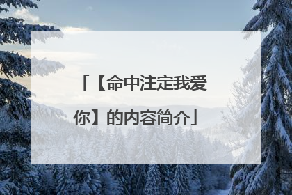 【命中注定我爱你】的内容简介