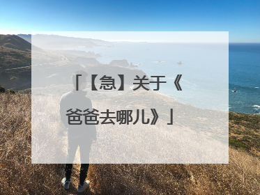 【急】关于《爸爸去哪儿》