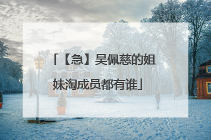 【急】吴佩慈的姐妹淘成员都有谁