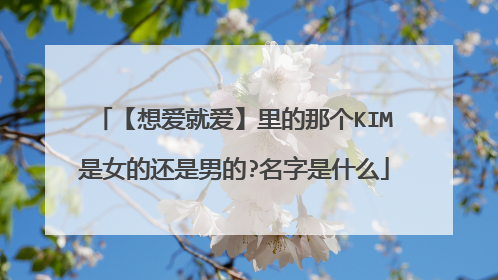 【想爱就爱】里的那个KIM是女的还是男的?名字是什么