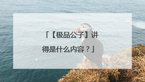 【极品公子】讲得是什么内容?