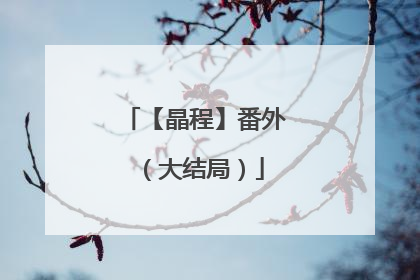 【晶程】番外(大结局)