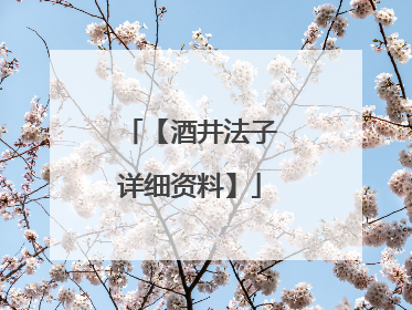 【酒井法子详细资料】