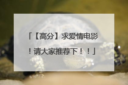 【高分】求爱情电影！请大家推荐下！！