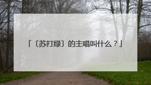 〔苏打绿〕的主唱叫什么？