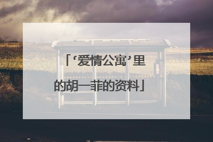 ‘爱情公寓’里的胡一菲的资料