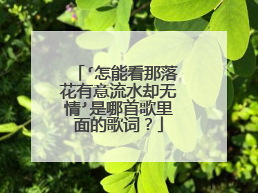 ‘怎能看那落花有意流水却无情’是哪首歌里面的歌词？