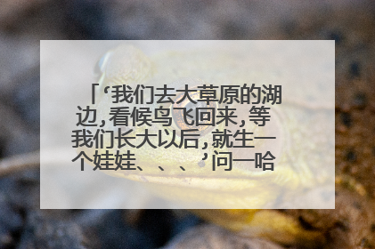 ‘我们去大草原的湖边,看候鸟飞回来,等我们长大以后,就生一个娃娃、、、’问一哈这是哪首歌的歌词?