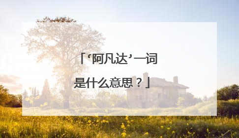 ‘阿凡达’一词是什么意思？