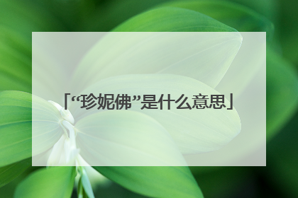 “珍妮佛”是什么意思