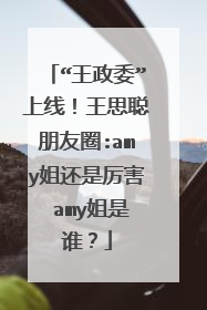 “王政委”上线！王思聪朋友圈:amy姐还是厉害 amy姐是谁？