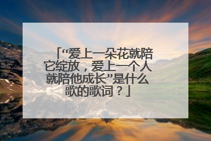 “爱上一朵花就陪它绽放,爱上一个人就陪他成长”是什么歌的歌词?