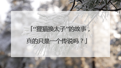 “狸猫换太子”的故事，真的只是一个传说吗？