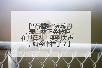 “石榴姐”苑琼丹,表白林正英被拒,在其葬礼上哭到失声,如今咋样了?