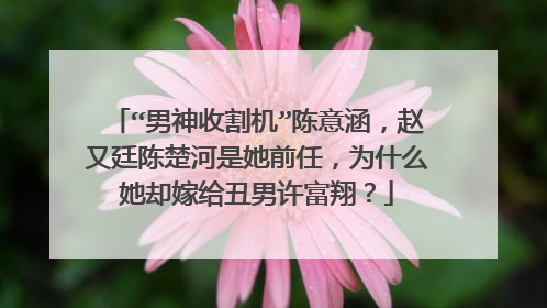 “男神收割机”陈意涵，赵又廷陈楚河是她前任，为什么她却嫁给丑男许富翔？