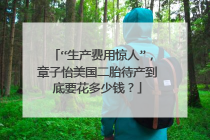 “生产费用惊人”，章子怡美国二胎待产到底要花多少钱？