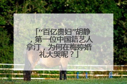 “百亿贵妇”胡静，第一位中国籍艺人拿汀，为何在梅婷婚礼大哭呢？