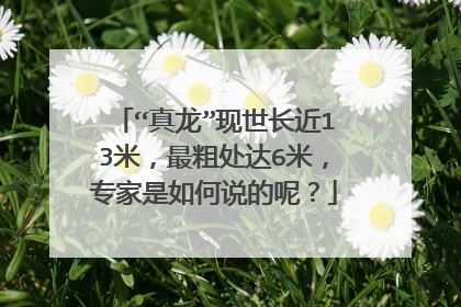 “真龙”现世长近13米,最粗处达6米,专家是如何说的呢?