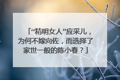 “精明女人”应采儿，为何不嫁向佐，而选择了家世一般的陈小春？