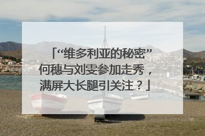 “维多利亚的秘密”何穗与刘雯参加走秀，满屏大长腿引关注？