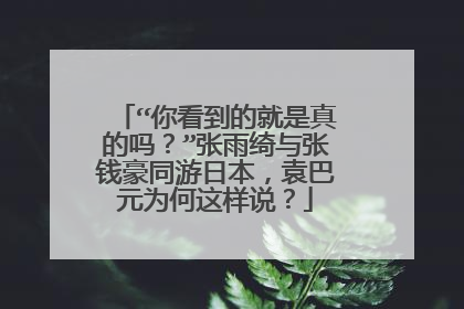 “你看到的就是真的吗？”张雨绮与张钱豪同游日本，袁巴元为何这样说？